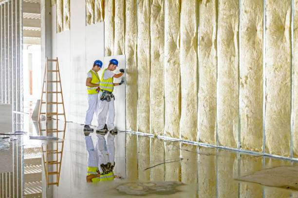 Best Cellulose Insulation in Stevensville, MT